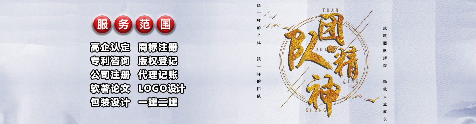 美国红枫三